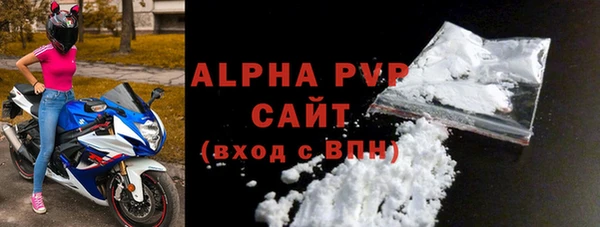ПСИЛОЦИБИНОВЫЕ ГРИБЫ Инта