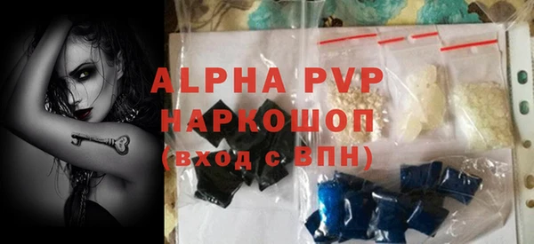 ПСИЛОЦИБИНОВЫЕ ГРИБЫ Инта