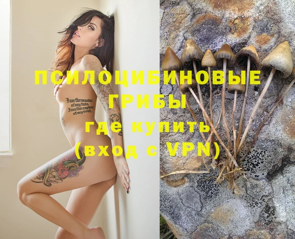 ПСИЛОЦИБИНОВЫЕ ГРИБЫ Инта