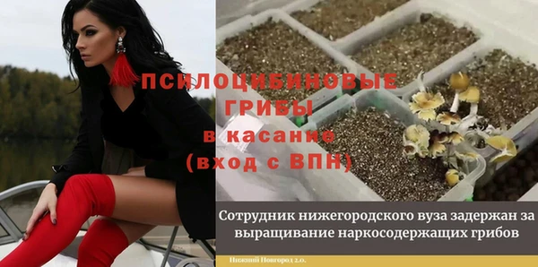 спайс Зерноград