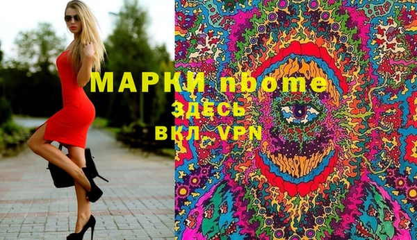 ПСИЛОЦИБИНОВЫЕ ГРИБЫ Инта