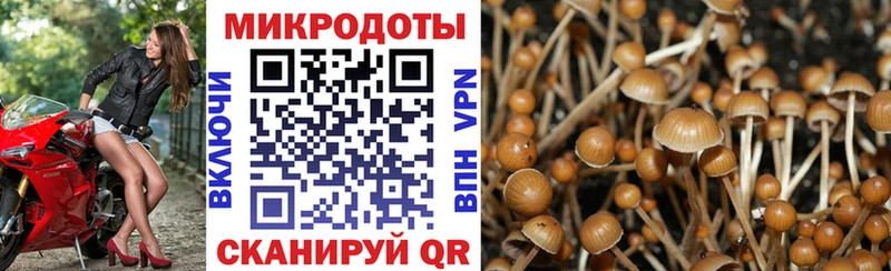 Купить где  Мегион  Псилоцибиновые грибы прущие грибы 